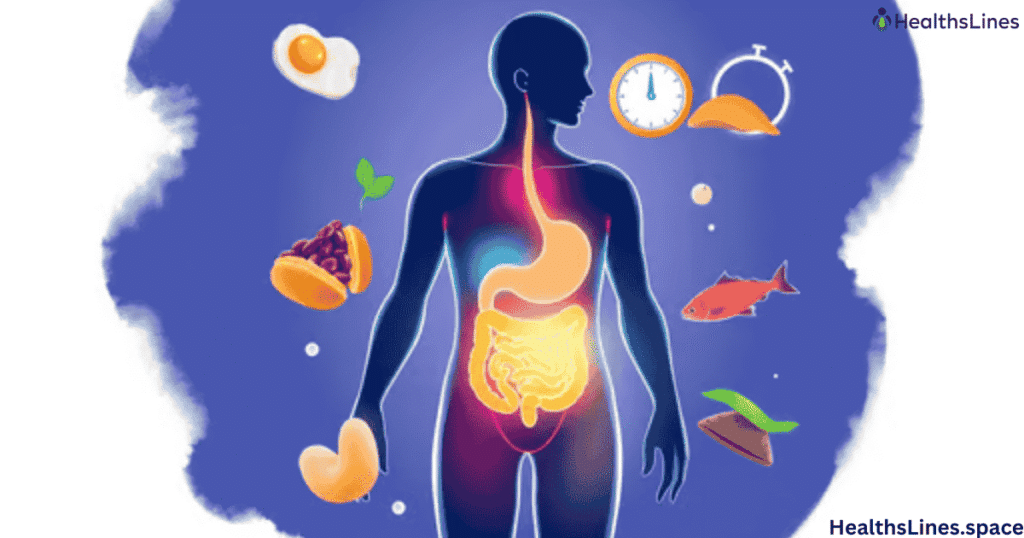 Protein Stay In Your System